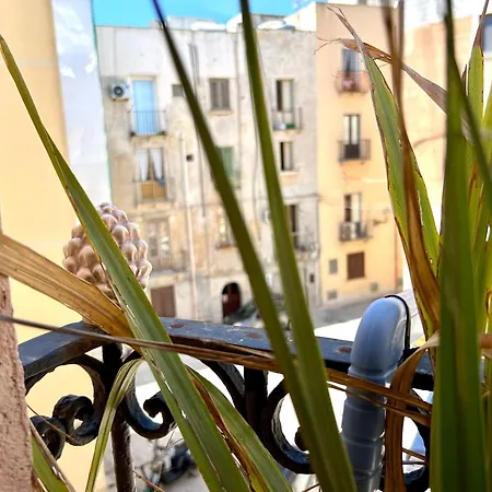 Ghiaccio * Trapani